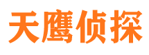 项城市私家侦探